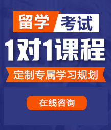 操逼吹比操逼操逼操比比留学考试一对一精品课